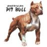 pit ball